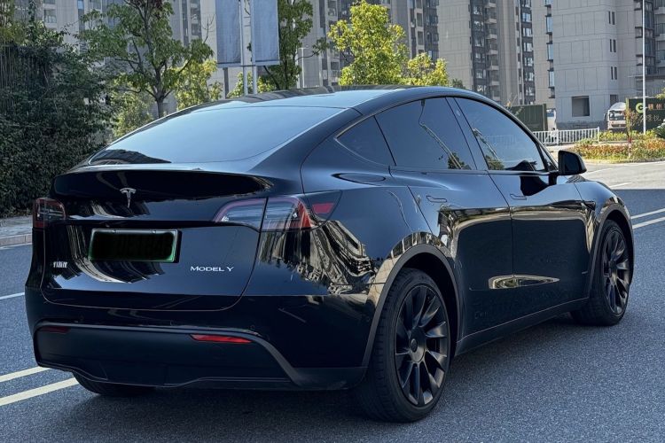 特斯拉 Model Y 2021款 标准续航后驱版车身外观6003