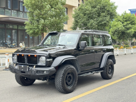 坦克300 2023款 2.0T 铁骑02