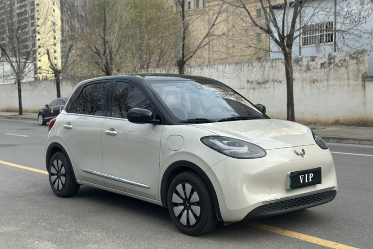 五菱汽车 五菱缤果 2023款 203km 轻享款车身外观6008