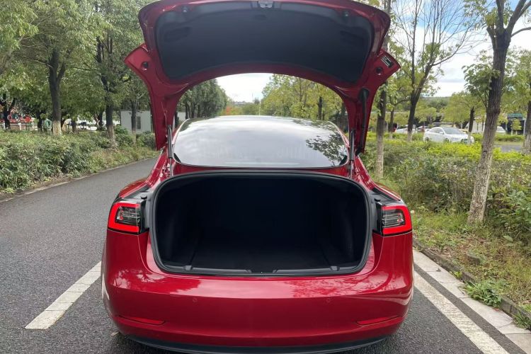 特斯拉 Model 3 2019款 标准续航后驱升级版中控内饰7011