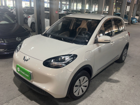 五菱汽车 五菱缤果 2024款 203km 轻享款