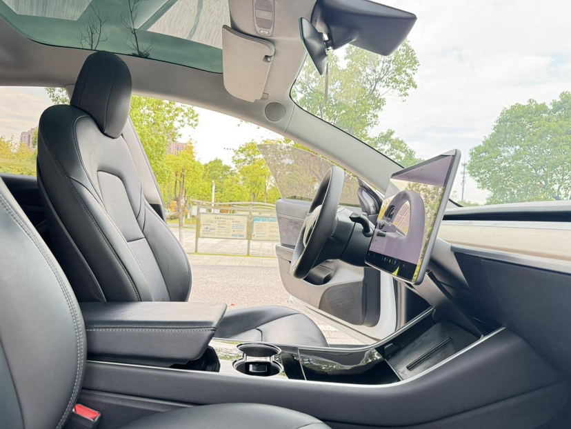 特斯拉 Model 3 2019款 标准续航后驱升级版