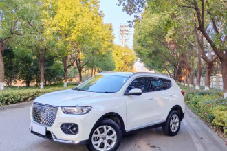 哈弗H6 2021款 1.5T 自动都市版