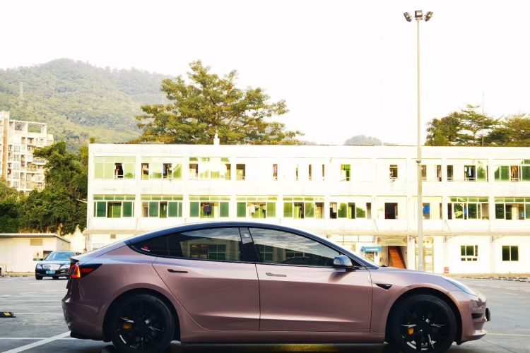 特斯拉 Model 3 2020款 标准续航后驱升级版车身外观6003