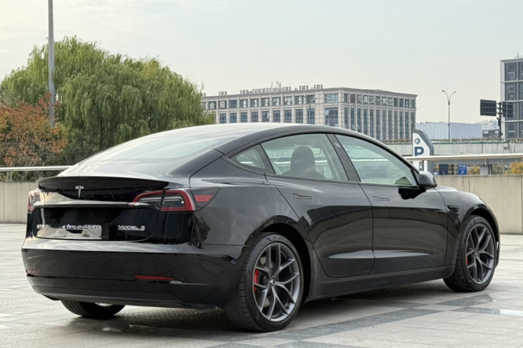 特斯拉 Model 3 2022款 Performance高性能全轮驱动版车身外观6007
