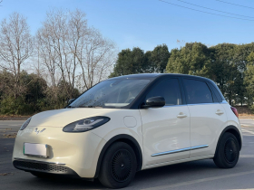 五菱汽车 五菱缤果 2023款 333km 灵犀互联款