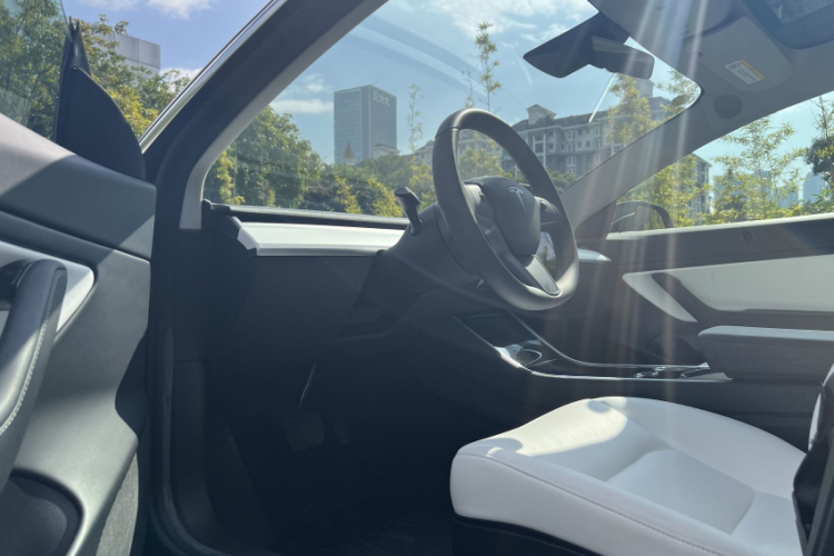 特斯拉 Model 3 2020款 标准续航后驱升级版局部细节9007