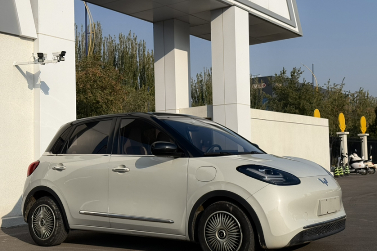 五菱汽车 五菱缤果 2023款 333km 灵犀互联款车身外观6001