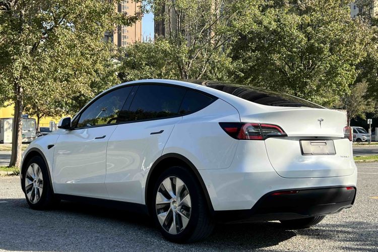 特斯拉 Model Y 2021款 长续航全轮驱动版 3D7车身外观6002