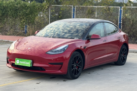 特斯拉 Model 3 2020款 改款 标准续航后驱升级版