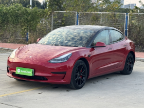 特斯拉 Model 3 2020款 改款 标准续航后驱升级版