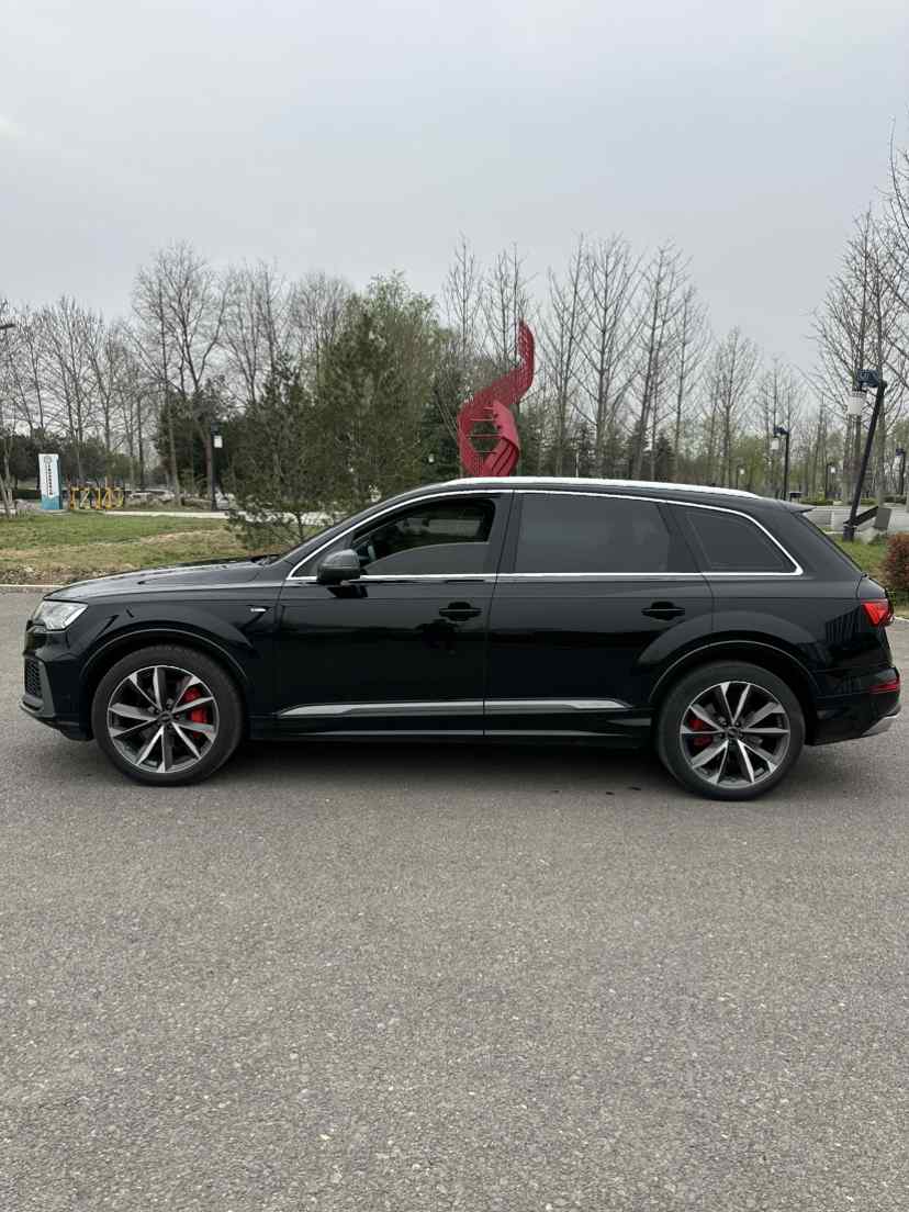 奥迪Q7 2023款 55 TFSI quattro S line运动型(4)