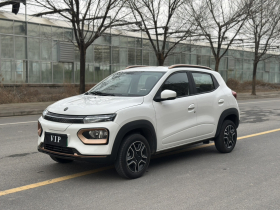 东风纳米EX1 2023款 PRO 轻风版闪电型