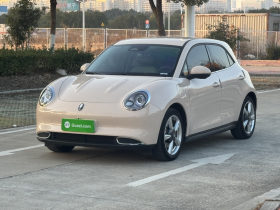 欧拉好猫 2023款 401km标准续航 豪华型 磷酸铁锂