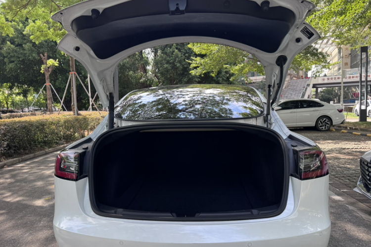 特斯拉 Model 3 2021款 标准续航后驱升级版局部细节23