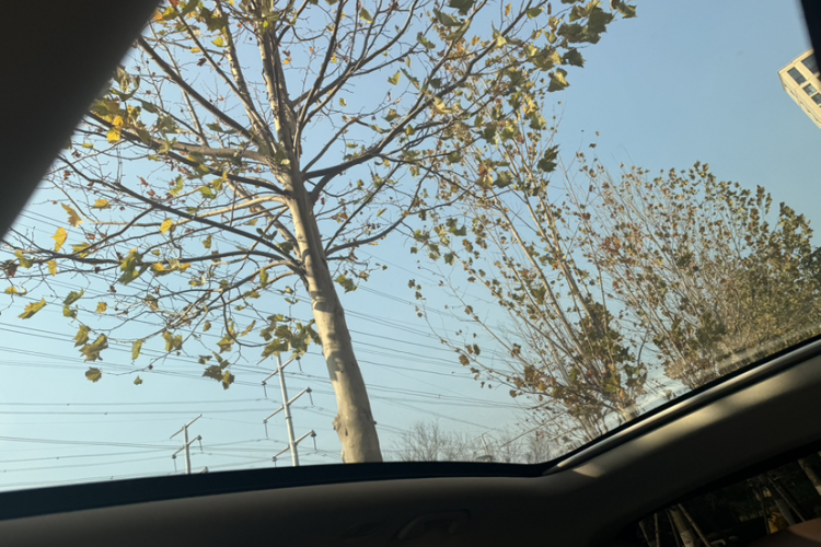 零跑汽车 零跑C11 2023款 增程 200舒享版局部细节22