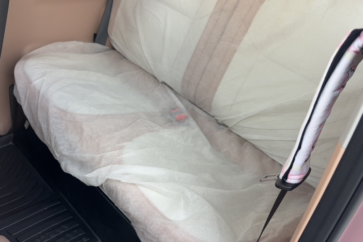 吉利银河 2024款 熊猫mini 200km 耐力熊中控内饰7002