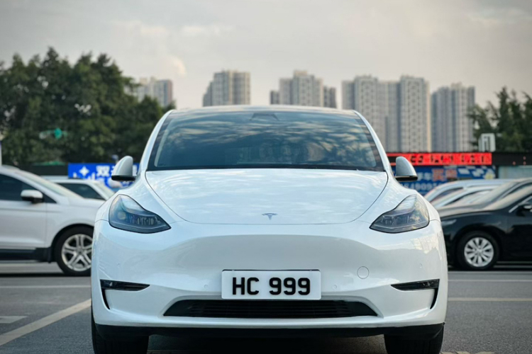 特斯拉 Model Y 2021款 标准续航后驱版车身外观6001