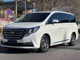 广汽传祺 传祺M8 2018款 320T 尊贵版