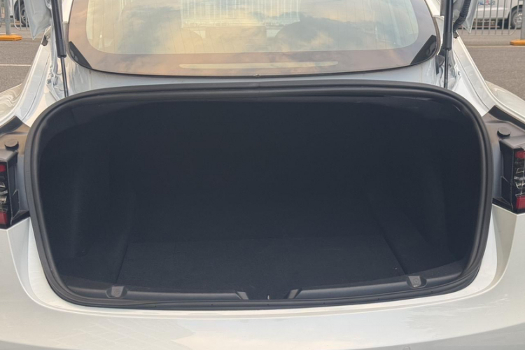 特斯拉 Model 3(进口) 2019款 长续航后驱版局部细节9009