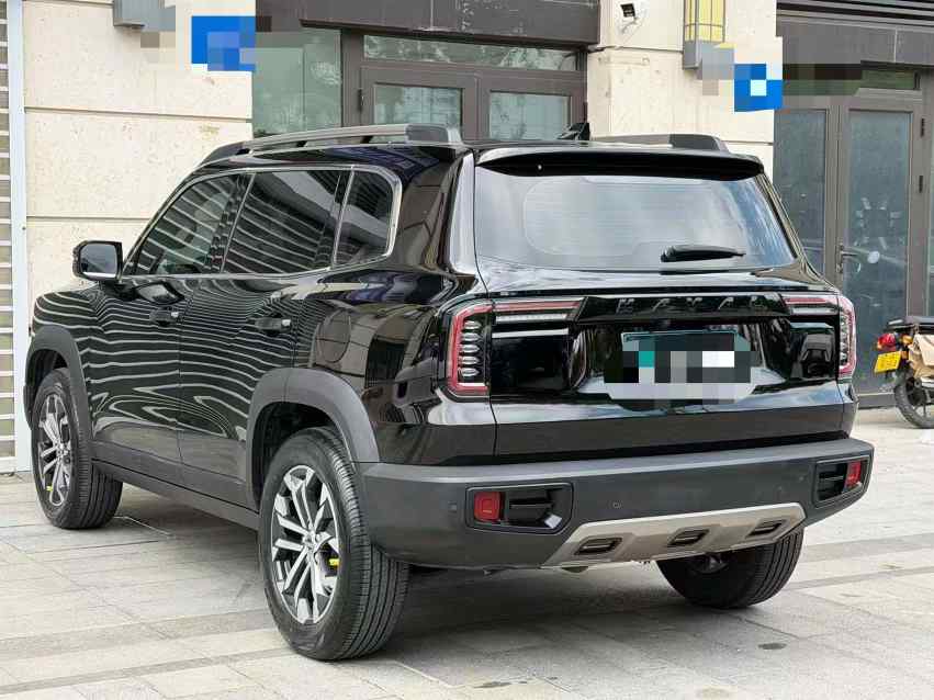 哈弗大狗 2022款 1.5T DCT两驱边牧版(4)