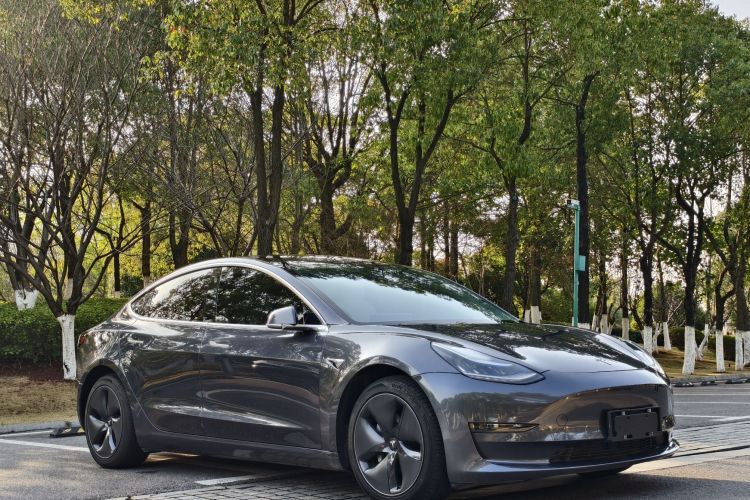 特斯拉 Model 3 2020款 长续航后轮驱动版车身外观6006