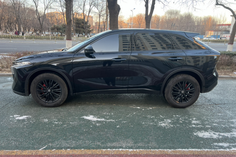 启辰大V 2023款 260T 黑马版 Pro车身外观6003