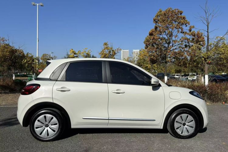 五菱汽车 五菱缤果 2023款 333km 快享款车身外观6007