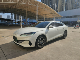 比亚迪 海豹06新能源 2024款 DM-i 120KM尊荣型