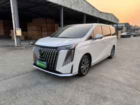 广汽传祺 传祺M8 2024款 大师系列 400T 尊贵版