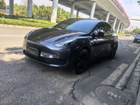 特斯拉 Model Y 2024款 后轮驱动版
