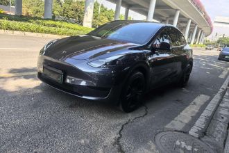 特斯拉 Model Y 2024款 后轮驱动版