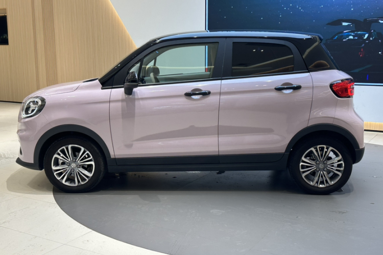 零跑汽车 零跑T03 2024款 310舒享版车身外观6005