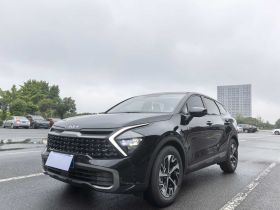 起亚 狮铂拓界 2025款 1.5T 两驱尊贵智享版