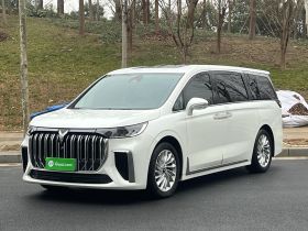 岚图汽车 岚图梦想家 2024款 PHEV 超长续航尊贵版