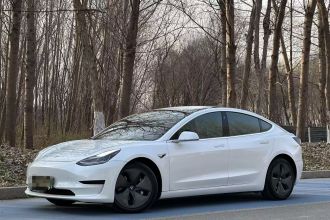 特斯拉 Model 3(进口) 2019款 标准续航后驱升级版(52度)