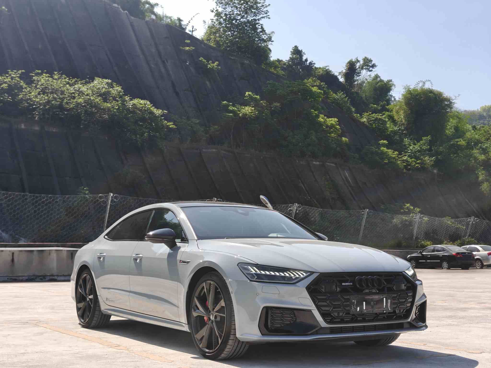 奥迪A7L 2024款 45 TFSI quattro RS 套件竞速版(4)
