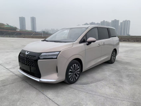 五菱汽车 星光730新能源 2025款 插混 125km 豪华型