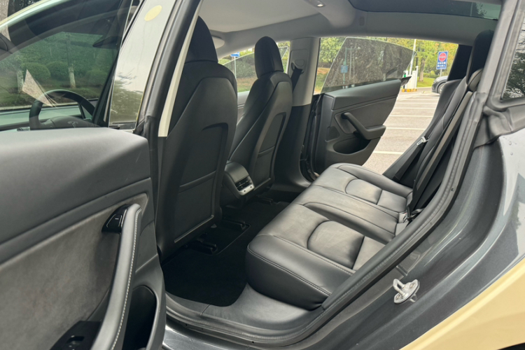 特斯拉 Model 3 2019款 标准续航后驱升级版车身外观6002