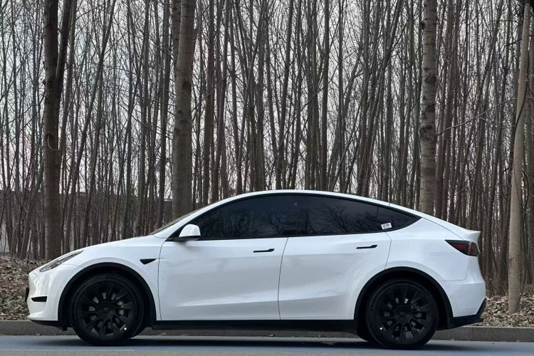 特斯拉 Model Y 2022款 后轮驱动版车身外观6009