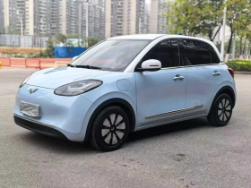 五菱汽车 五菱缤果 2023款 333km 灵犀互联+款