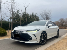 丰田 亚洲龙 2022款 2.0L 豪华版