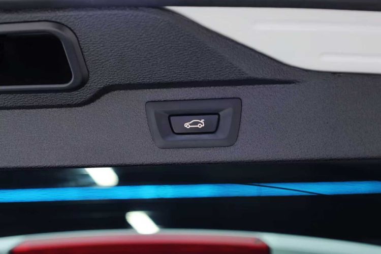 宝马X5(进口) 2019款 xDrive40i M运动套装局部细节9003