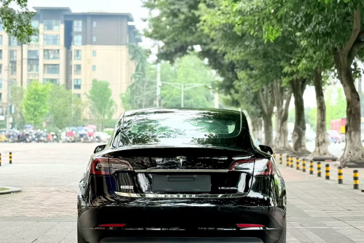 特斯拉 Model 3 2020款 改款 标准续航后驱升级版车身外观6010