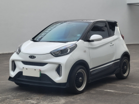 奇瑞新能源 小蚂蚁 2021款 20万蚁粉款 才气版 磷酸铁锂 301km