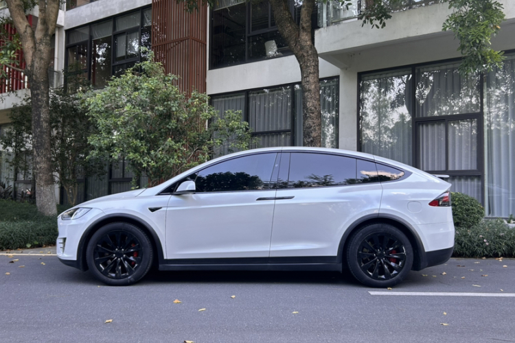 特斯拉 Model X 2019款 长续航版车身外观6010