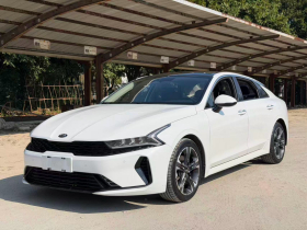 起亚K5 2020款 270T CVVD 豪华科技版