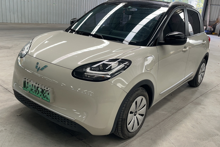 五菱汽车 五菱缤果 2023款 333km 快享款车身外观6002