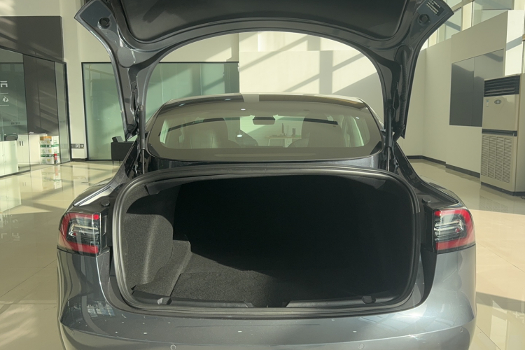 特斯拉 Model 3 2019款 标准续航后驱升级版局部细节23
