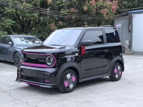 吉利银河 2025款 210km 熊猫卡丁